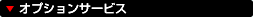 オプションサービス