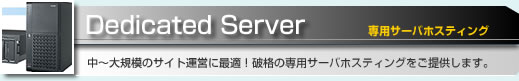 専用サーバホスティング